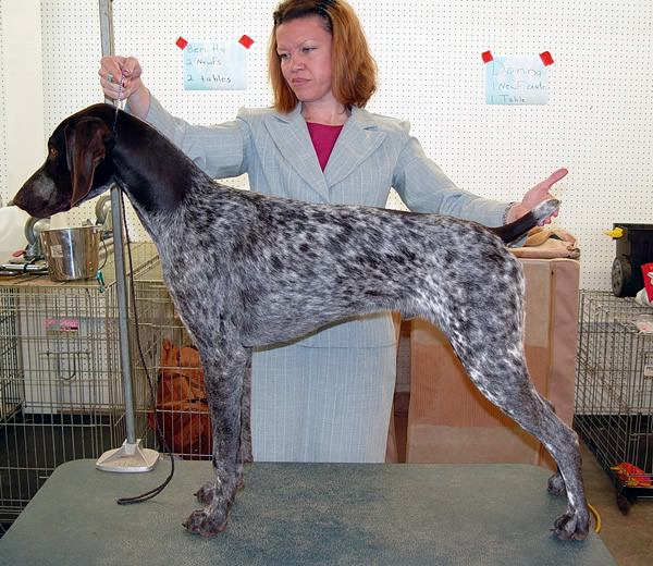 Rizer 6 mo