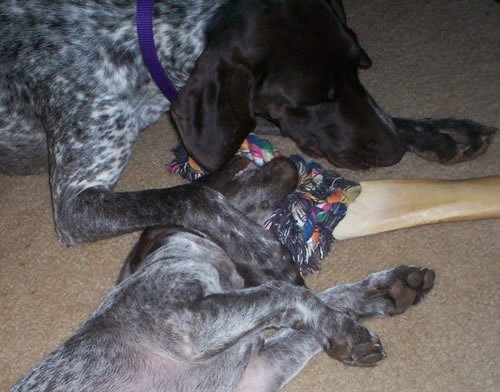 Rizer & Maggie