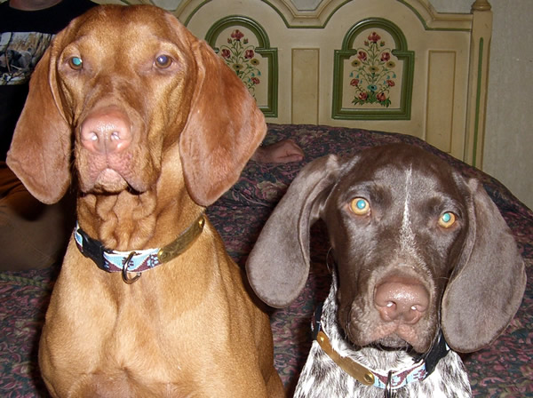 Shiloh & Carson